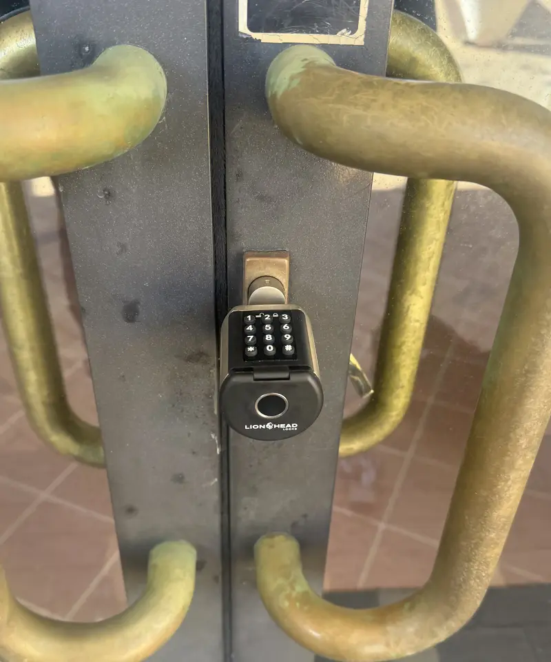 Lionhead Stronga Digital Cylinder Lock