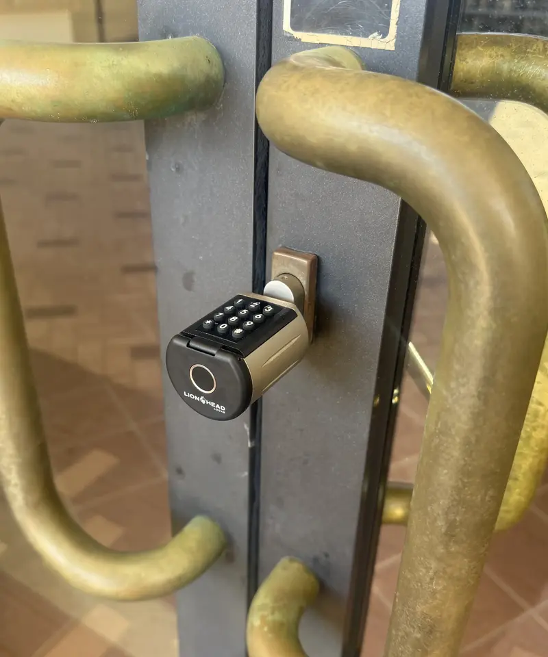 Lionhead Stronga Digital Cylinder Lock